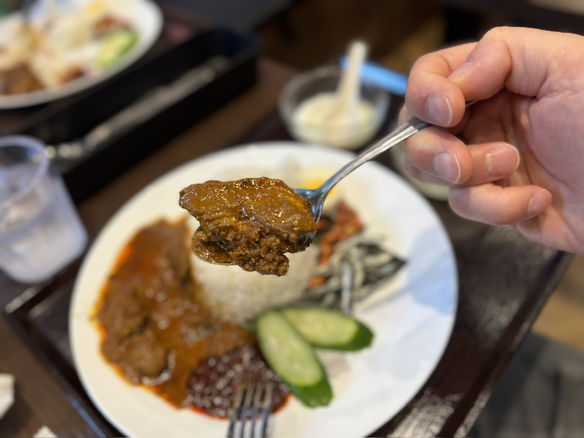 スプーンですくったチキンレンダンのアップ。濃い茶色のソースがたっぷり絡んでいる。